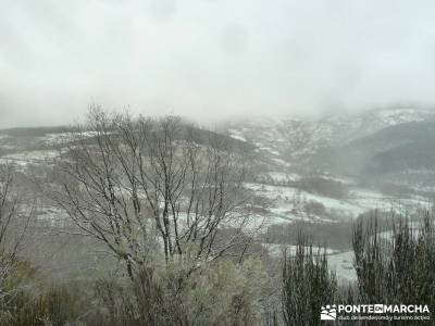 Valle del Ambroz-Sierra de Bejar - Gredos; excursiones senderismo; viajes en otoño;rutas la pedriza